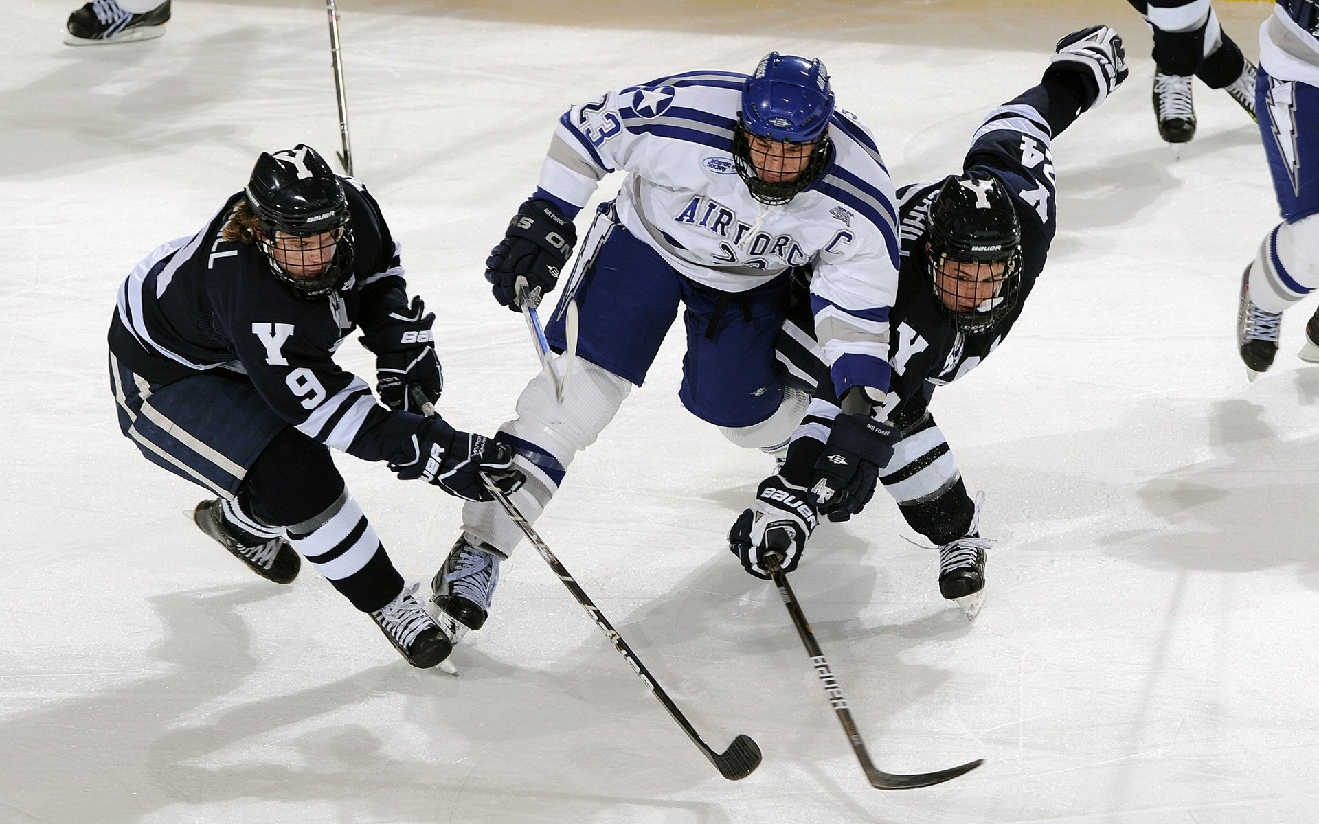 国王横扫老鹰，哈利伯顿在德甲争冠战接管比赛，体育无疆界的胜利交响