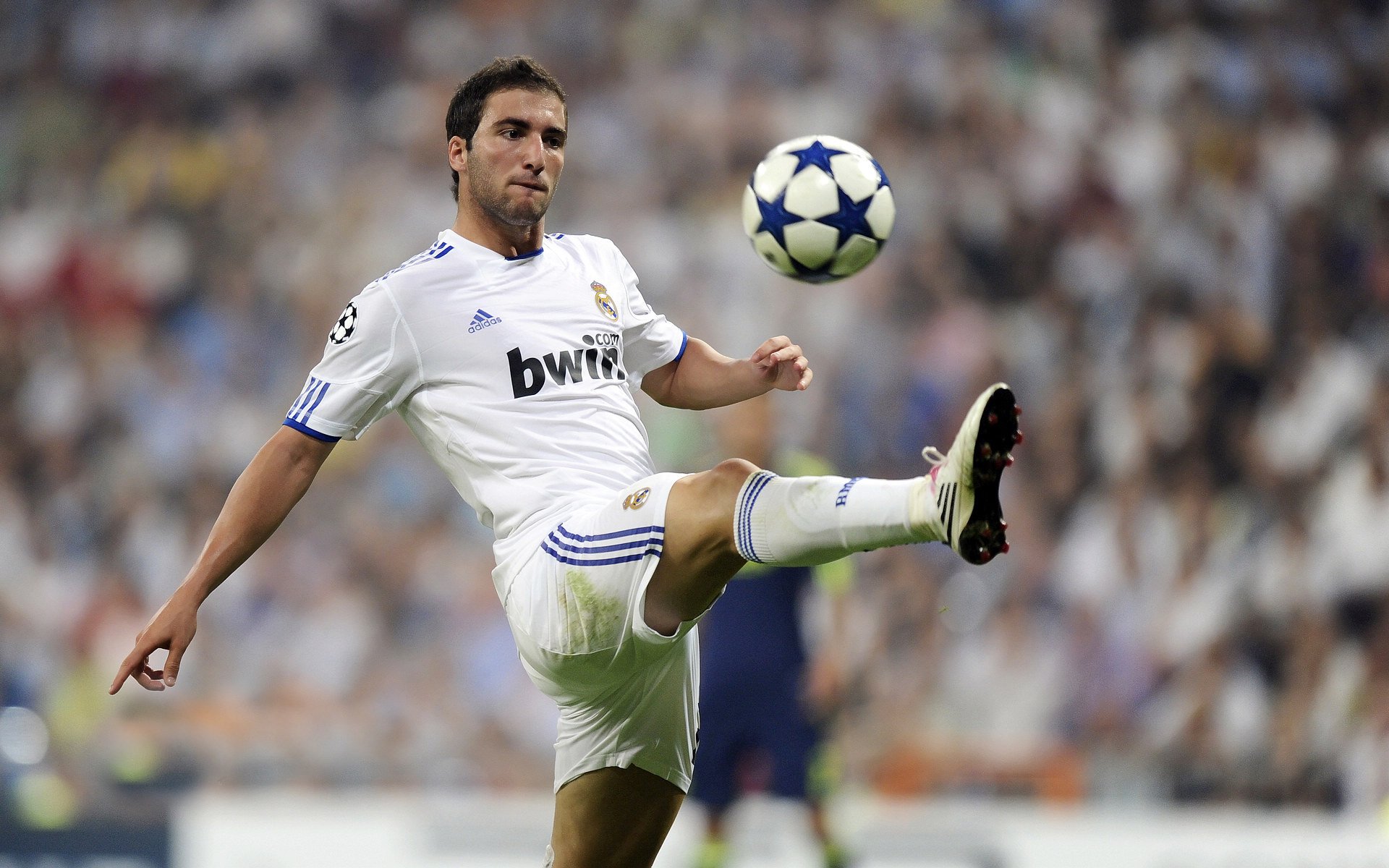 塔图姆，淬火之夜，硬仗之王的加冕礼